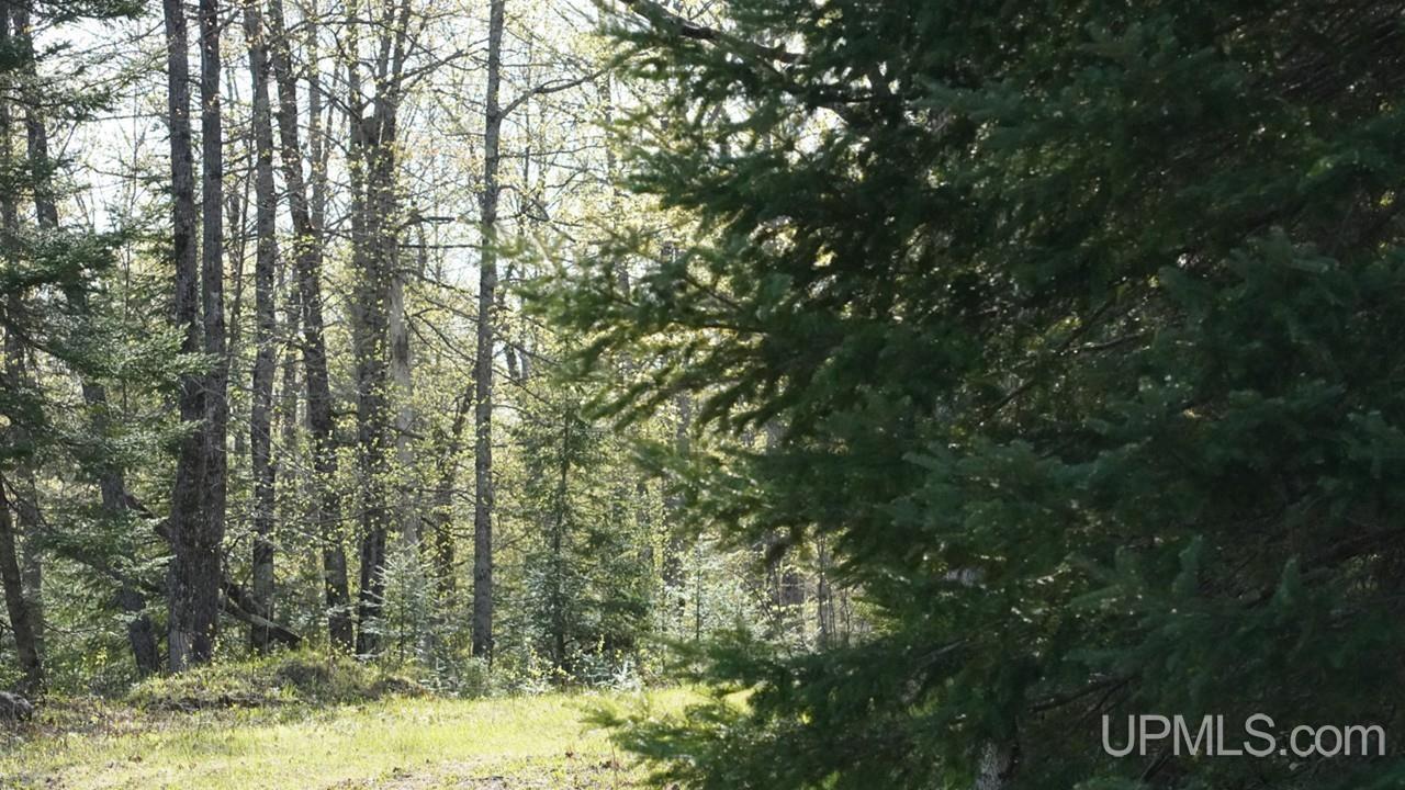Tbd County Line Road Hermansville, MI 49847 - Photo 19 of 20