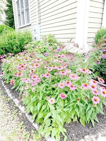 $1,560,000 | 176 Raymond Street, Unit 176, Cambridge, MA 02140