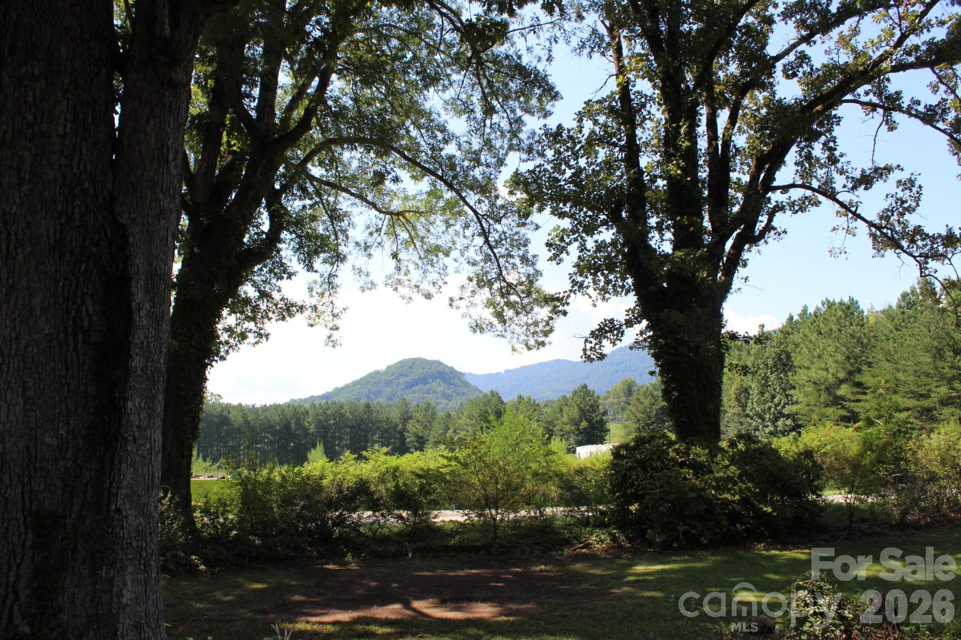70 Fox Mountain Road Columbus, NC 28722 - Photo 3 of 48 Gallery Image 3