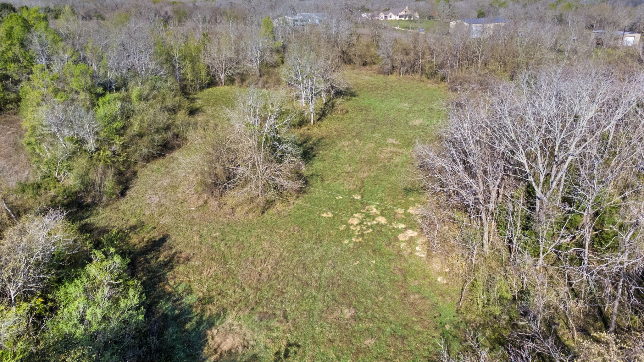3979 Felder Road Washington, TX 77880 - Photo 12 of 14