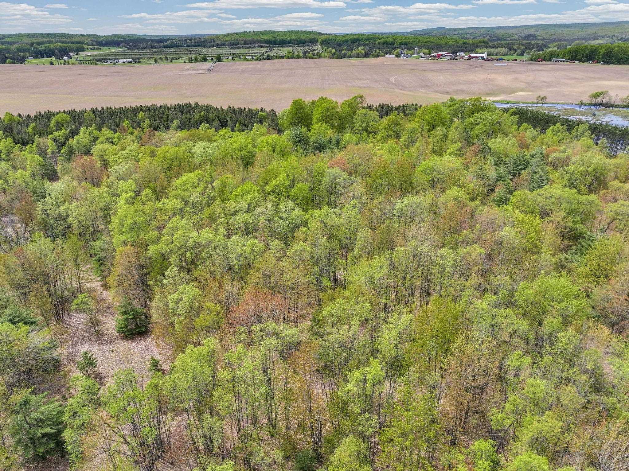 2560 South 25 Road Boon, MI 49618 - Photo 77 of 80