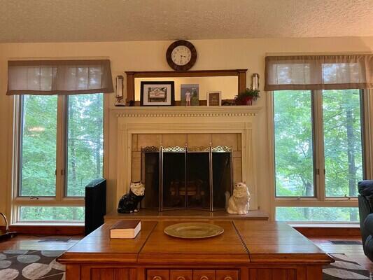 116 Timber Ridge Drive Jasper, TN 37347 - Photo 11 of 22 IMG_4075