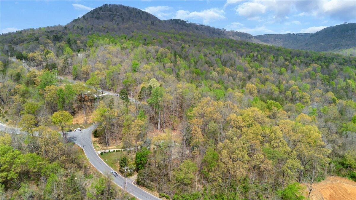 116 Timber Ridge Drive Jasper, TN 37347 - Photo 42 of 55 48-DJI_0006