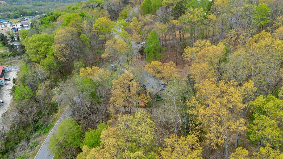 116 Timber Ridge Drive Jasper, TN 37347 - Photo 43 of 55 51-DJI_0014
