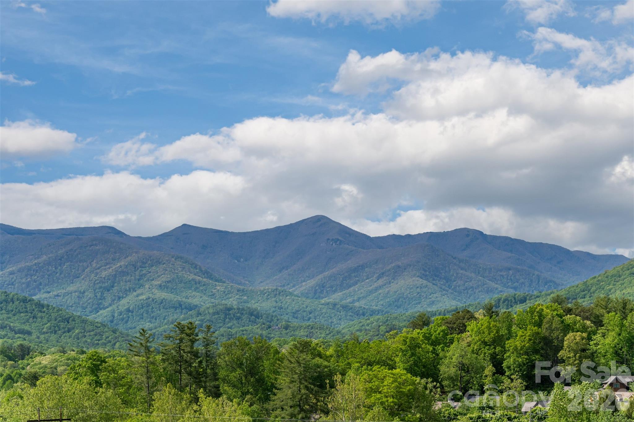 25 Rantis Lane Black Mountain, NC 28711 - Photo 6 of 48 a view of mountain and mountains in the background