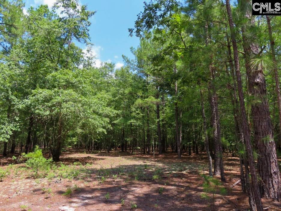 3915 Old Georgetown Road West Kershaw, SC 29067 - Photo 46 of 64 Gallery Image 46