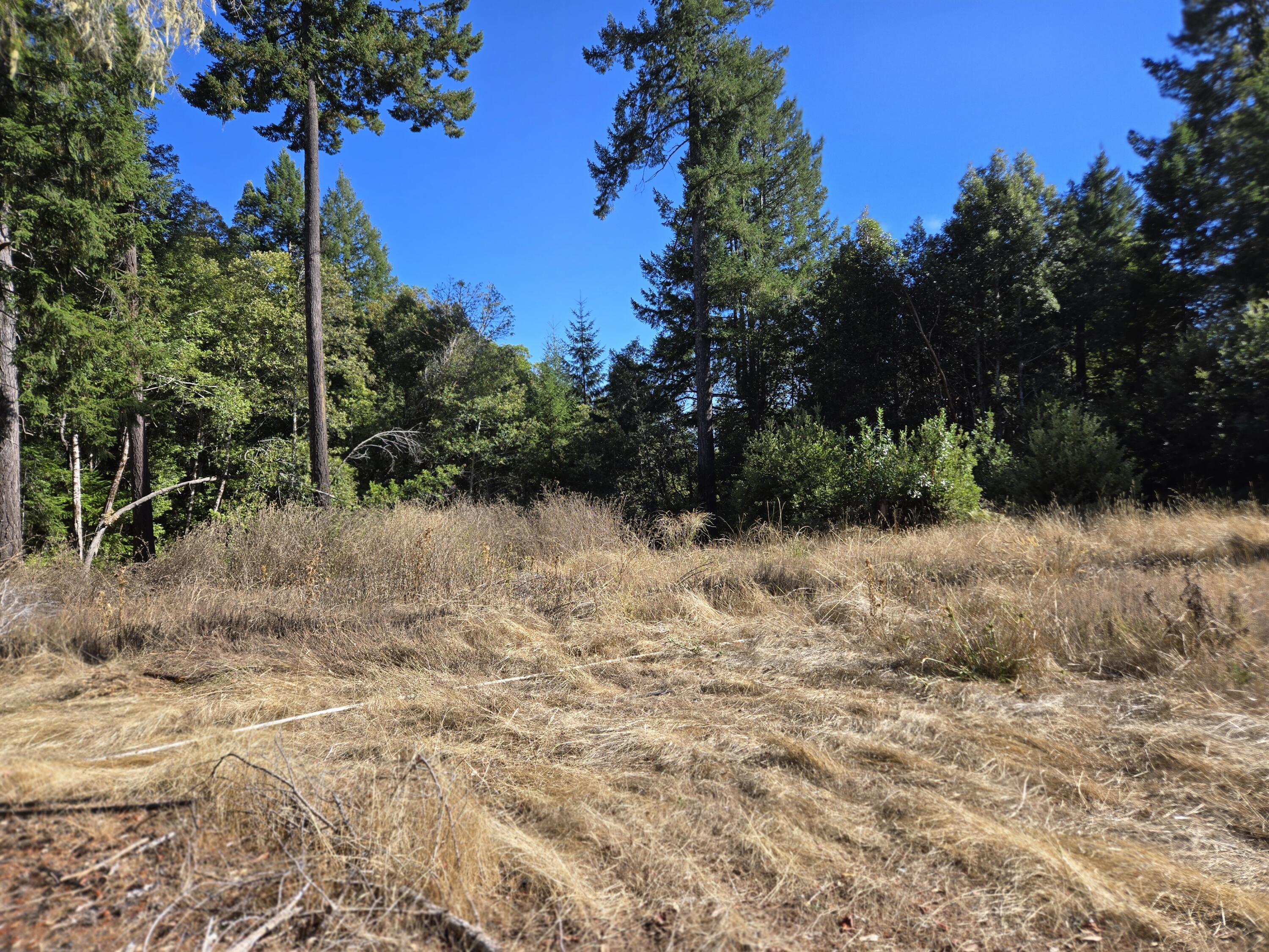 1520 Elk Rdg Road Redway, CA 95560 - Photo 53 of 86