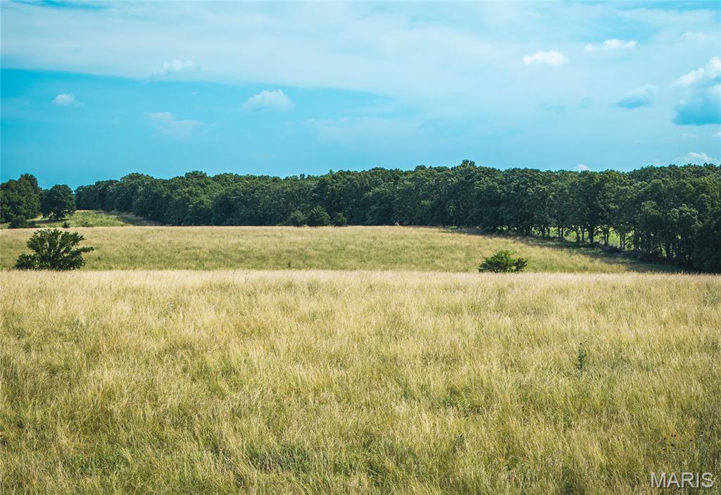 0 Kansas Road Eldridge, MO 65463 - Photo 19 of 22