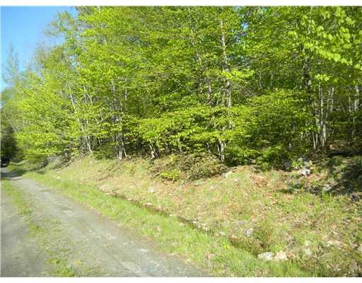 24 Gray Valley Road Guilford, ME 04443 - Photo 15 of 15 Land. Lot is on the right