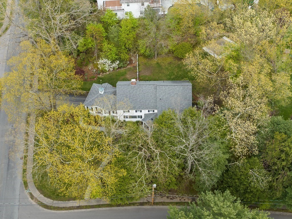 177 Hampshire Road Wellesley, MA 02481 - Photo 15 of 15 view of a yard with large trees