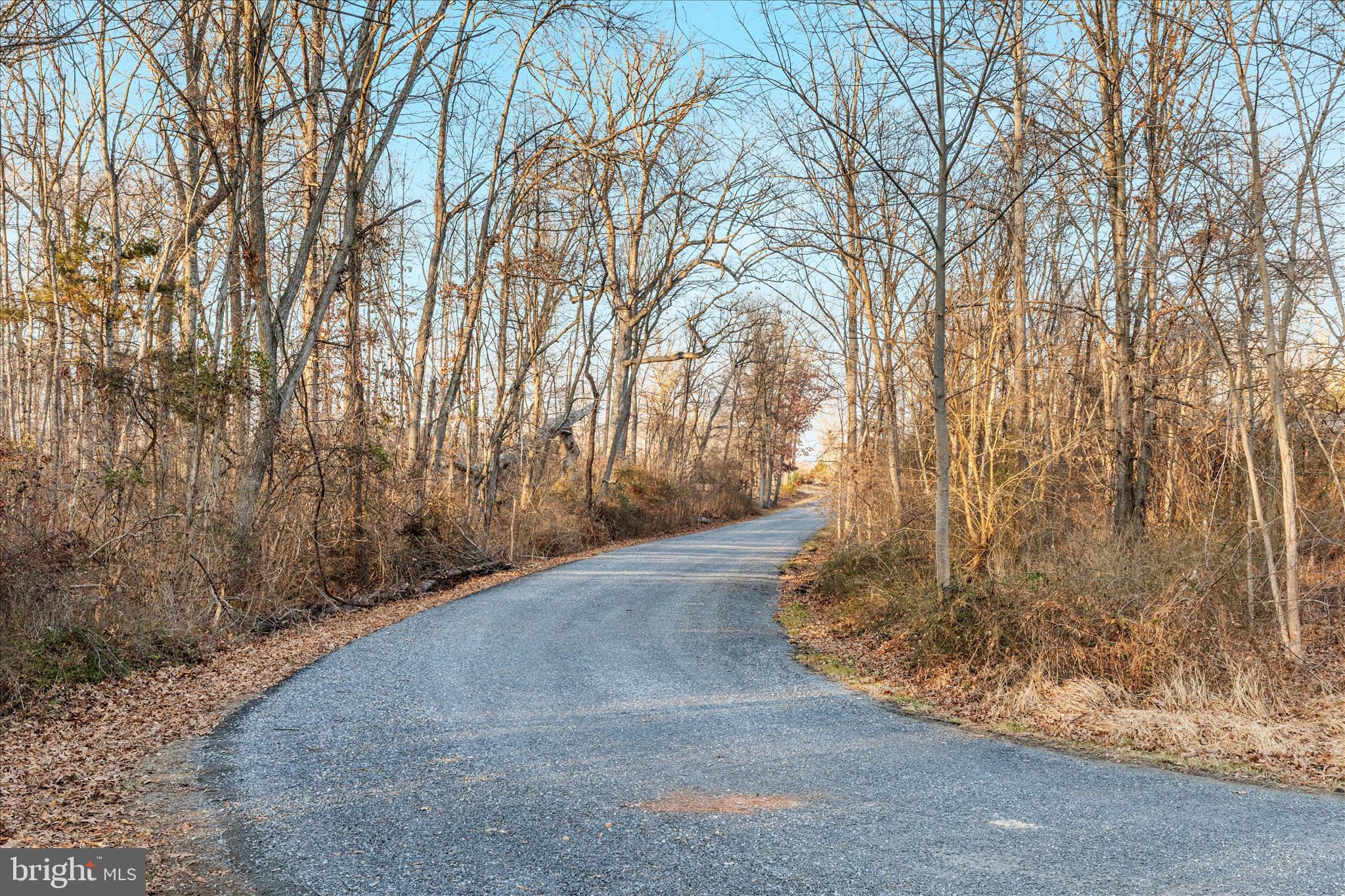 4364 Belvoir Road Marshall, VA 20115 - Photo 41 of 55