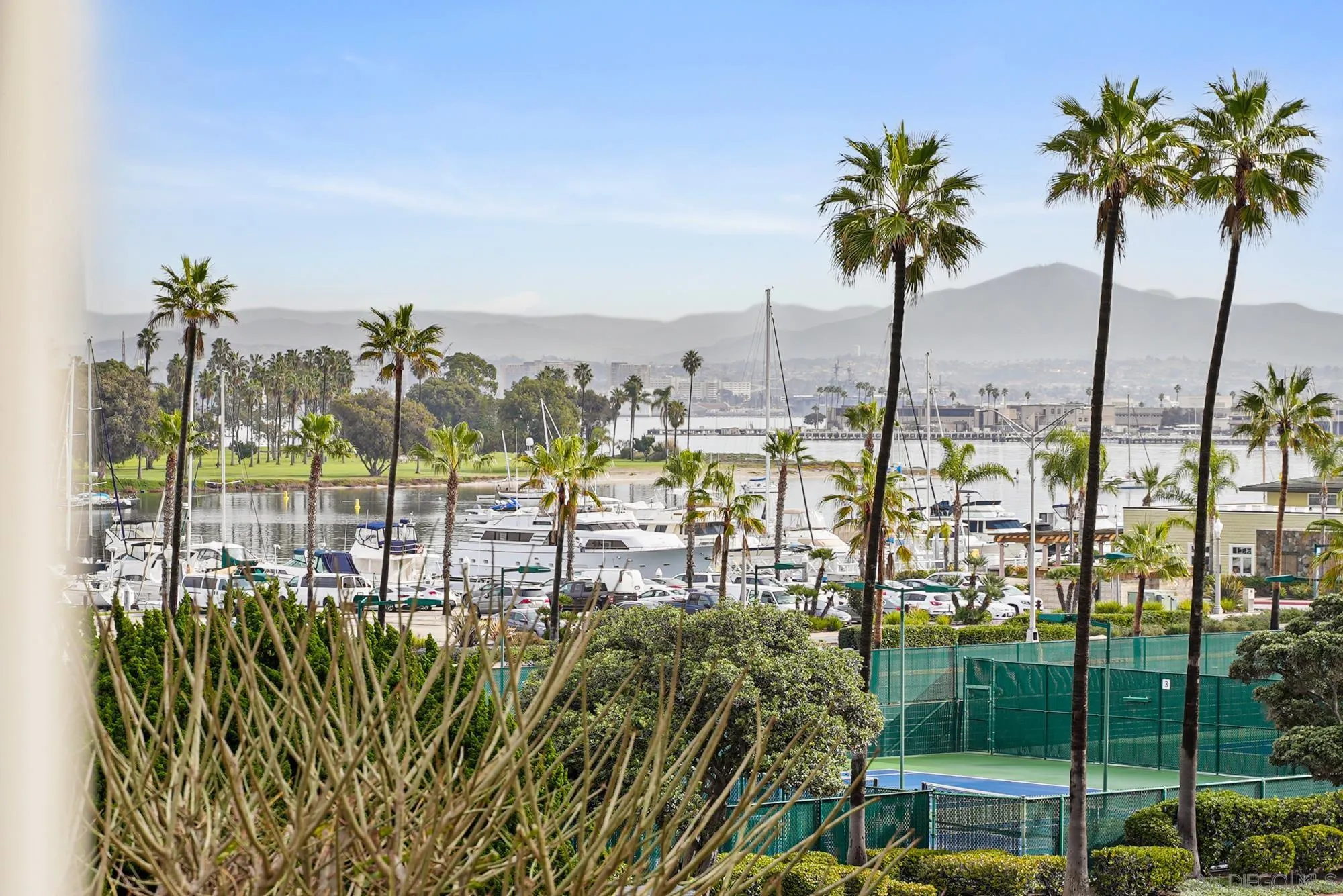 1720 Avenida Del Mundo, Unit 208 Coronado, CA 92118 - Photo 36 of 42 a view of a palm tree with a view of palm trees