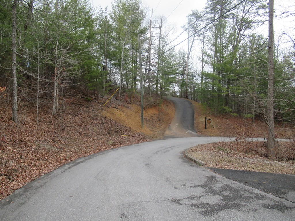 156 Bear Valley Road Sevierville, TN 37876 - Photo 10 of 15
