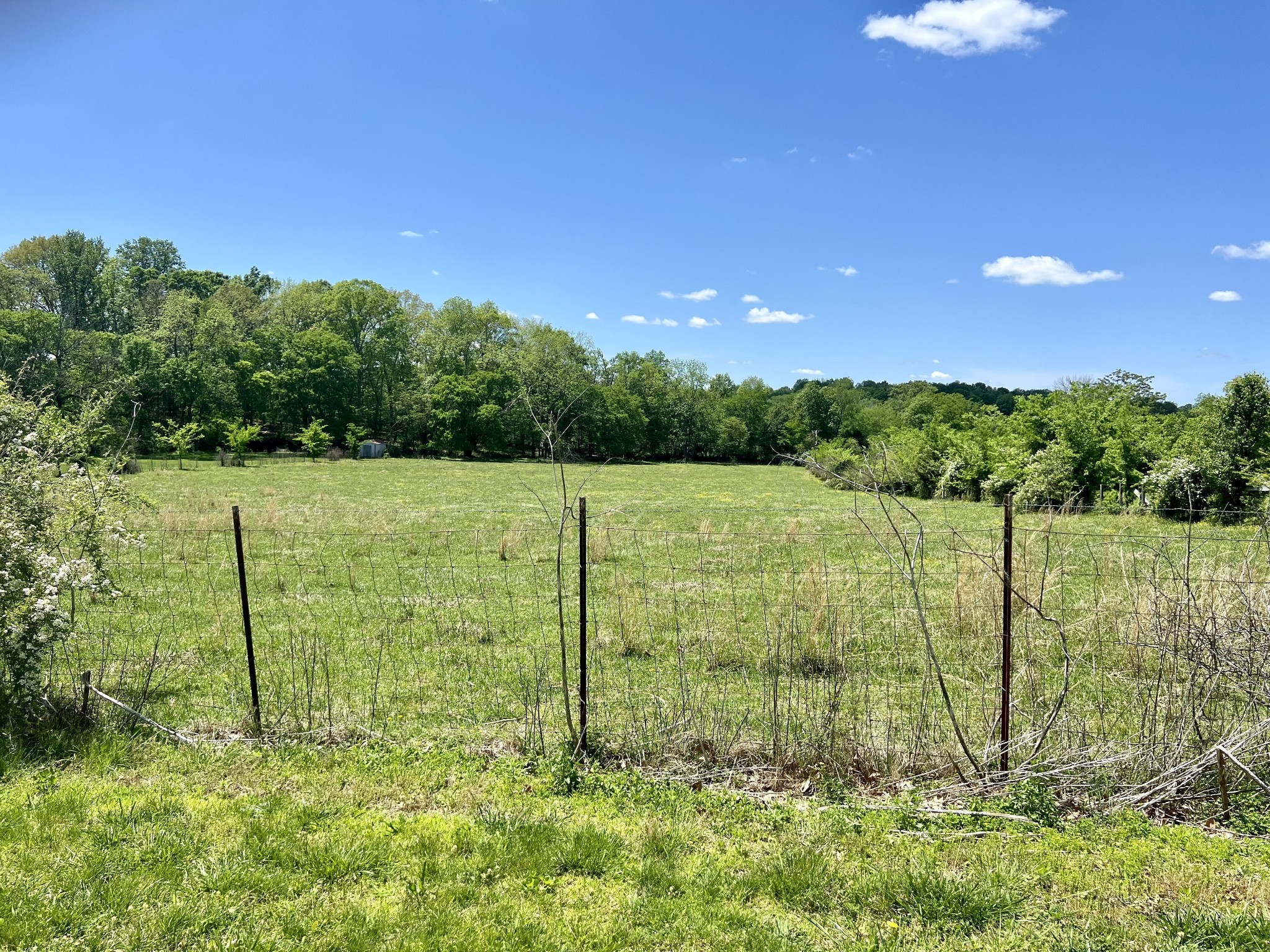 1280 Brandontown Road Manchester, TN 37355 - Photo 53 of 56 More acreage available!