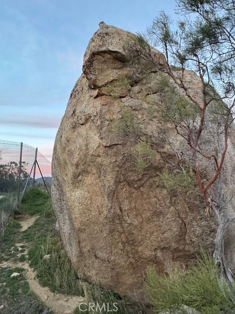 54740 Cave Rock Road Anza, CA 92539 - Photo 4 of 47 a view of a wooden wall with a tree in the background