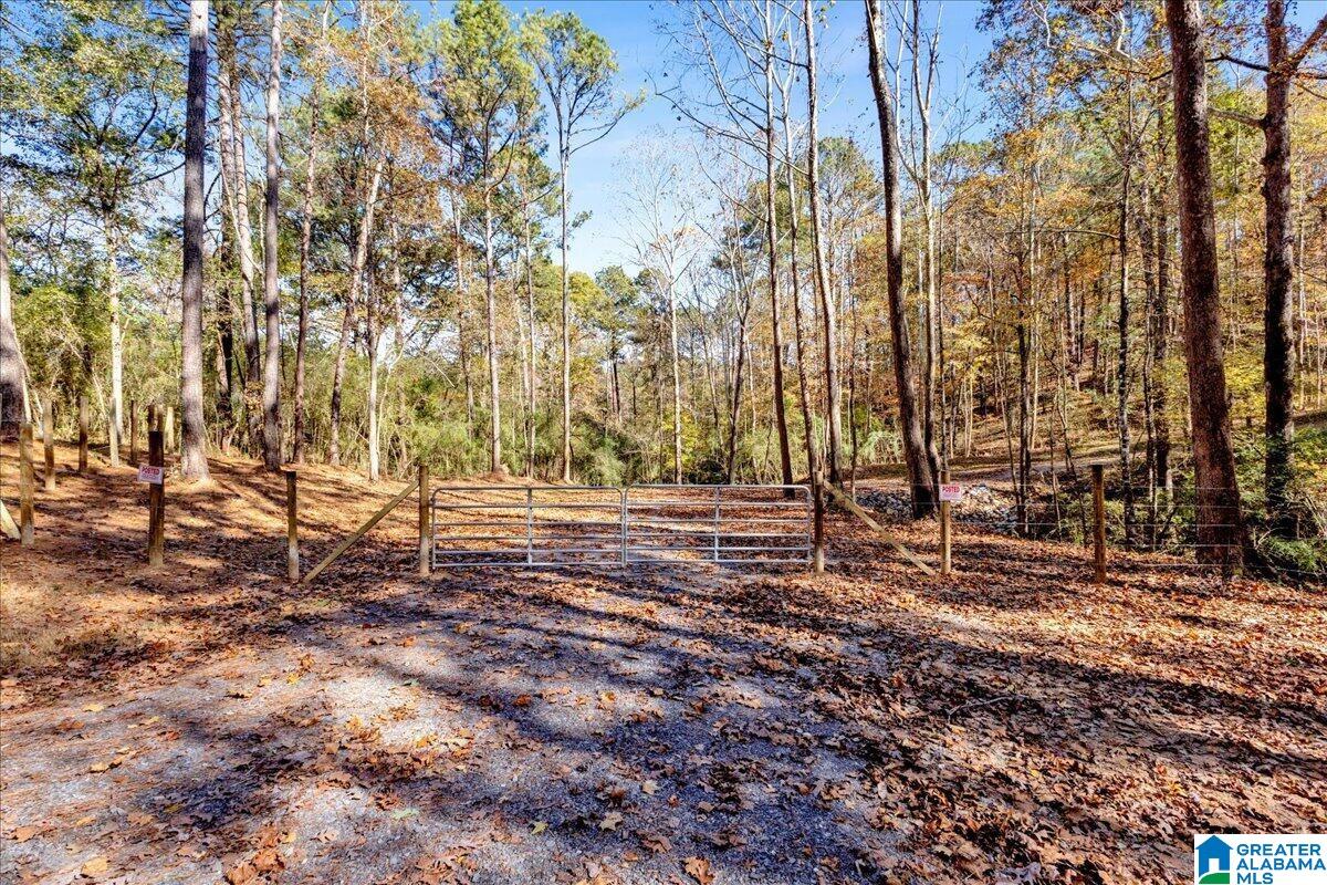 0 Hammock Road Trussville, AL 35173 - Photo 2 of 31