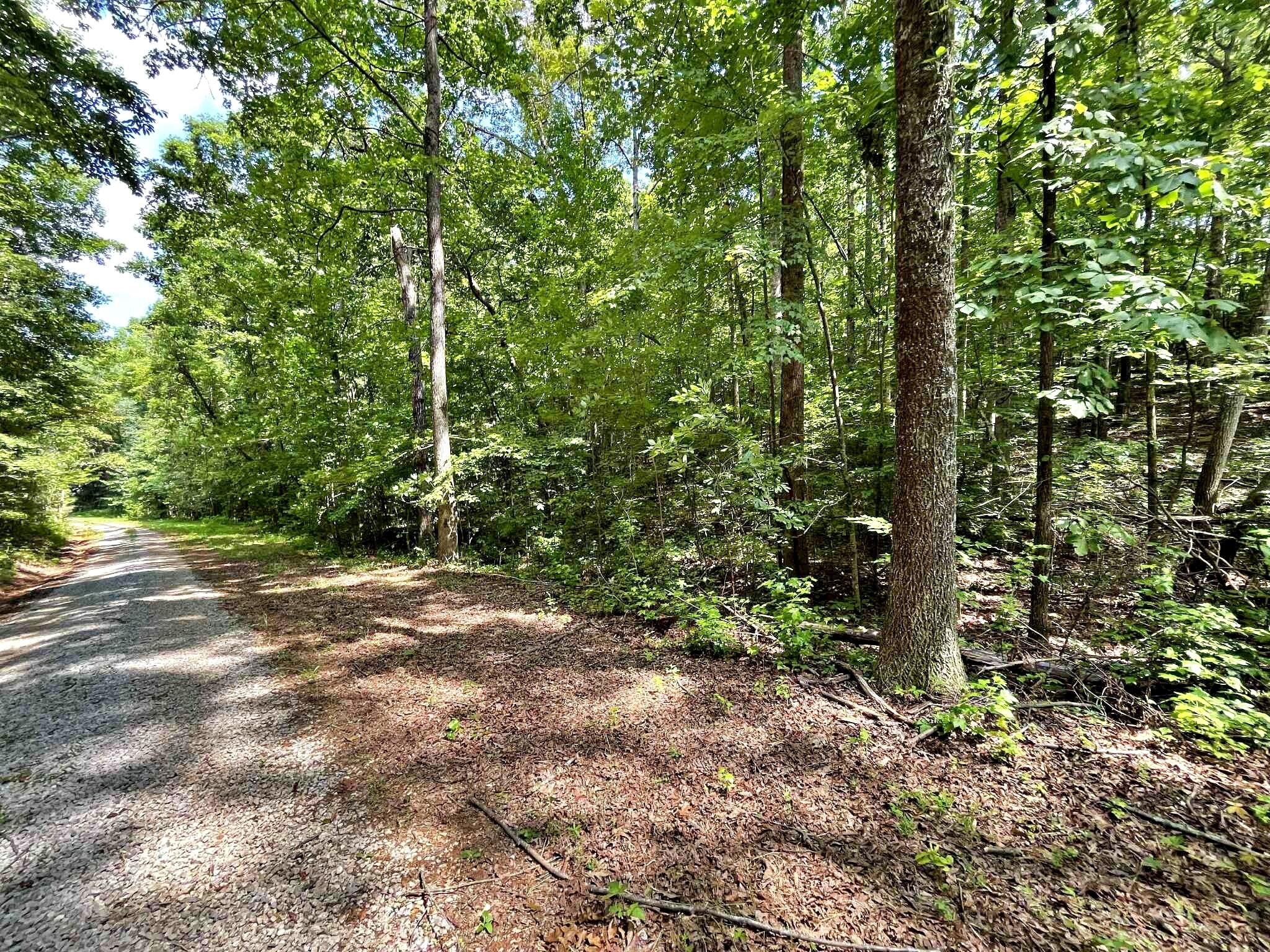 2 Raby Hollow Road Kingston, TN 37763 - Photo 6 of 13