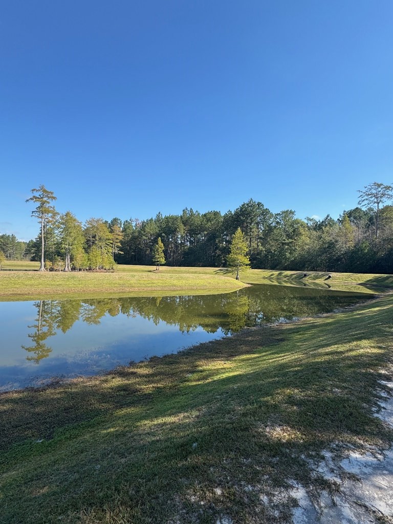 0 Russell Road Samson, AL 36477 - Photo 8 of 32