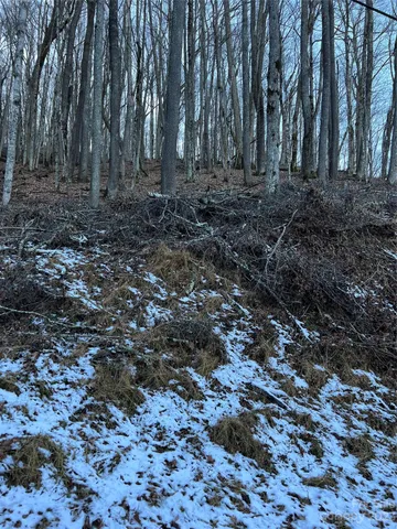 $15,000 | 0 Puncheon Lane, Unit 151, Mars Hill, NC 28754