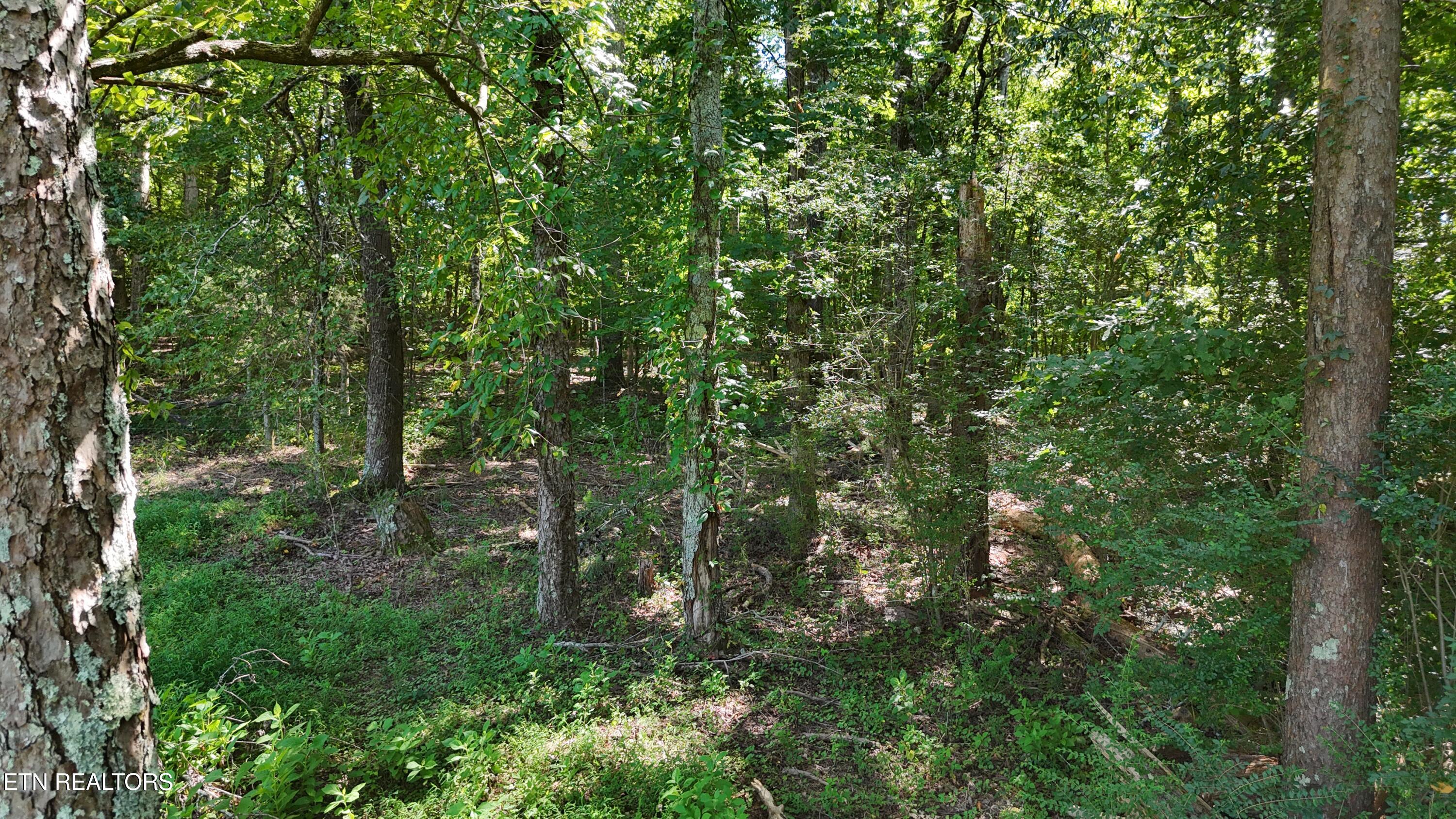 0 Fezzell Road Decatur, TN 37322 - Photo 3 of 11 dji_fly_20260825_153034_0038_17877830295