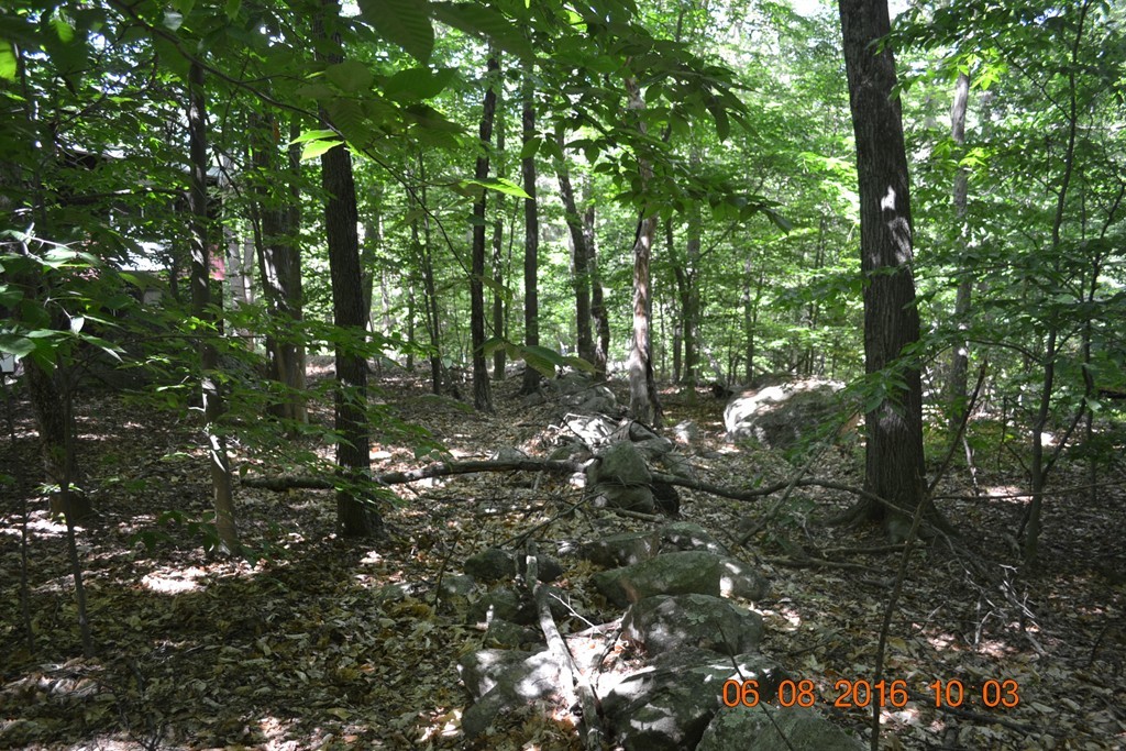33 Partridge Road Lexington, MA 02420 - Photo 2 of 6 Gallery Image 2