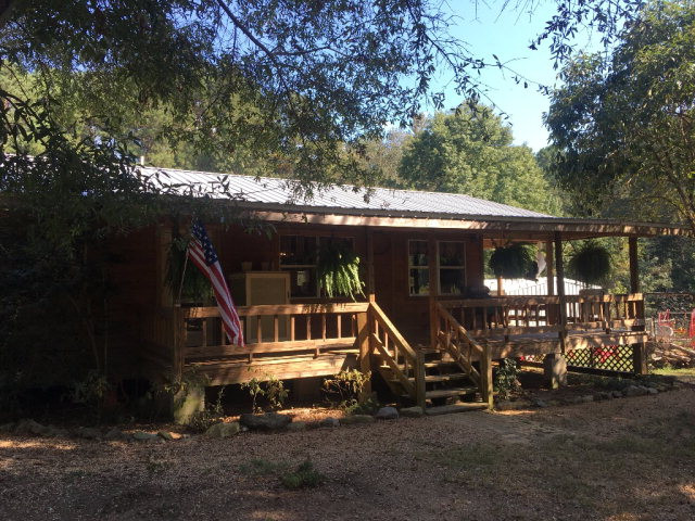 Main View