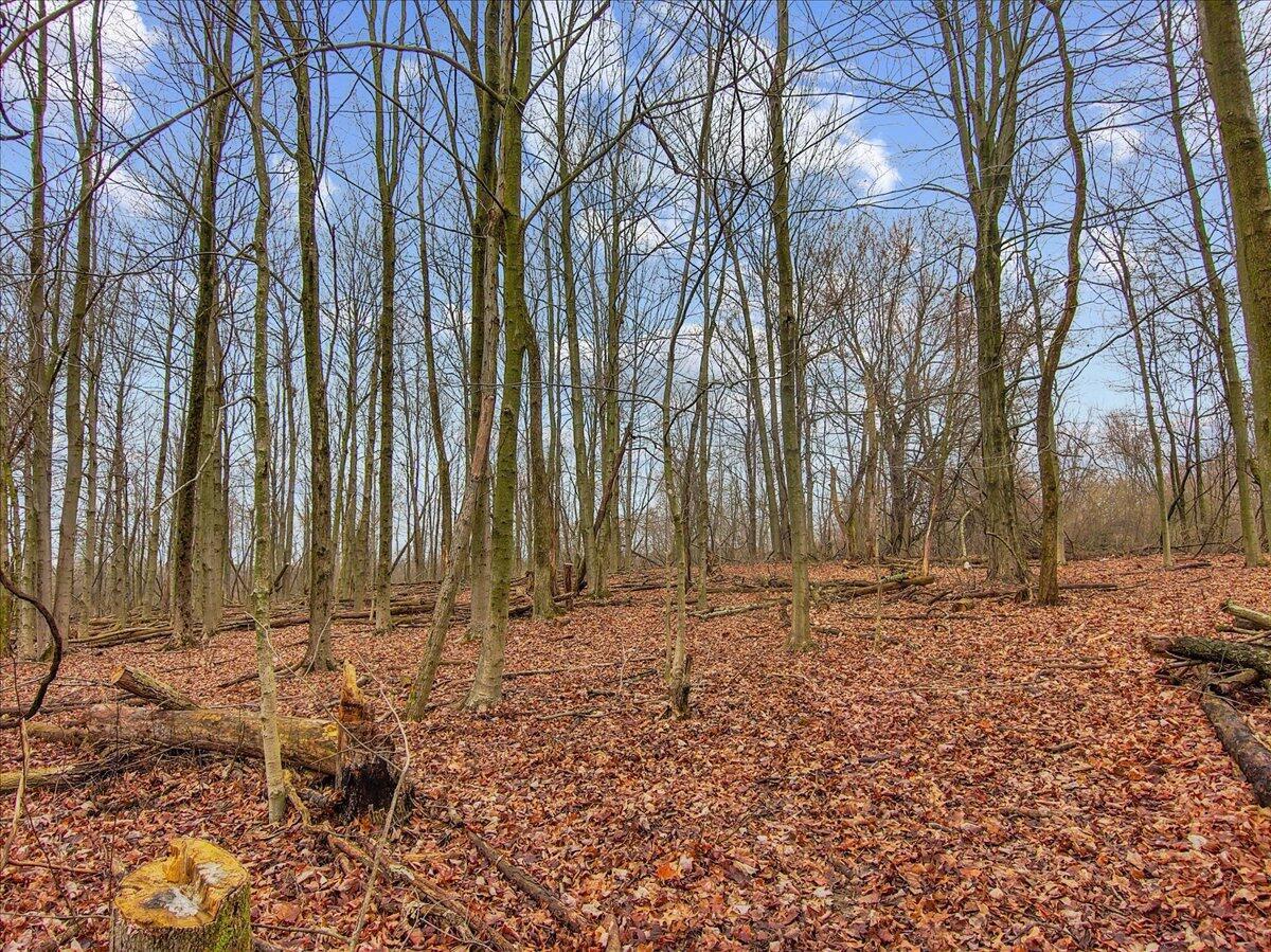 6945 North St Road Newark, OH 43055 - Photo 13 of 14 10-Drone Woods Right