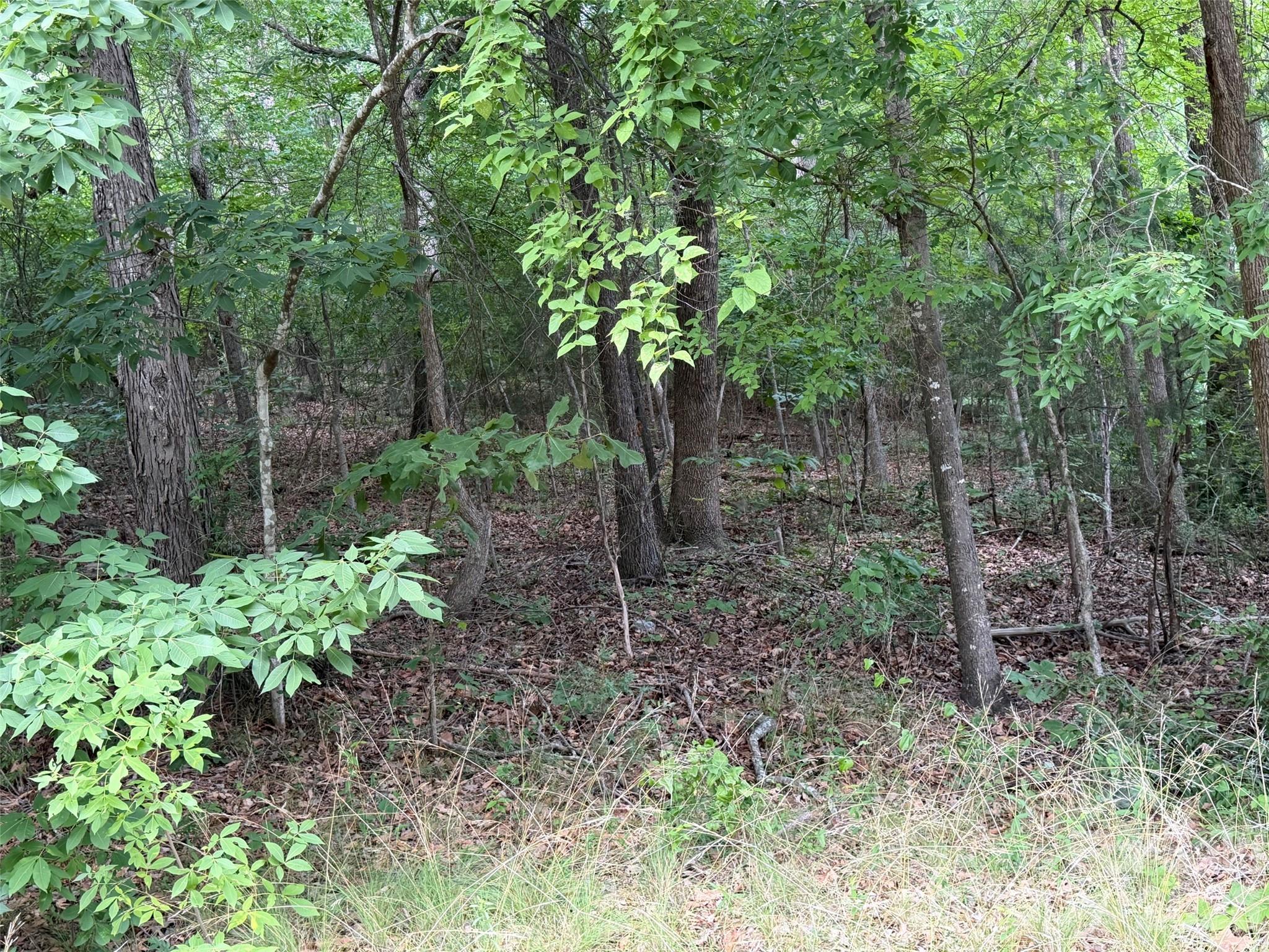 0 Imperial Way, Unit 15 Albemarle, NC 28001 - Photo 2 of 4