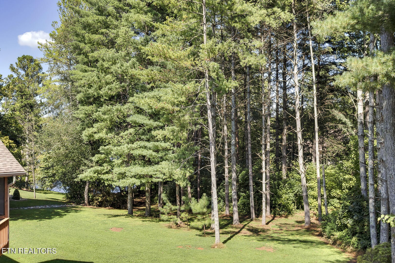 172 Inagehi Way Loudon, TN 37774 - Photo 14 of 56