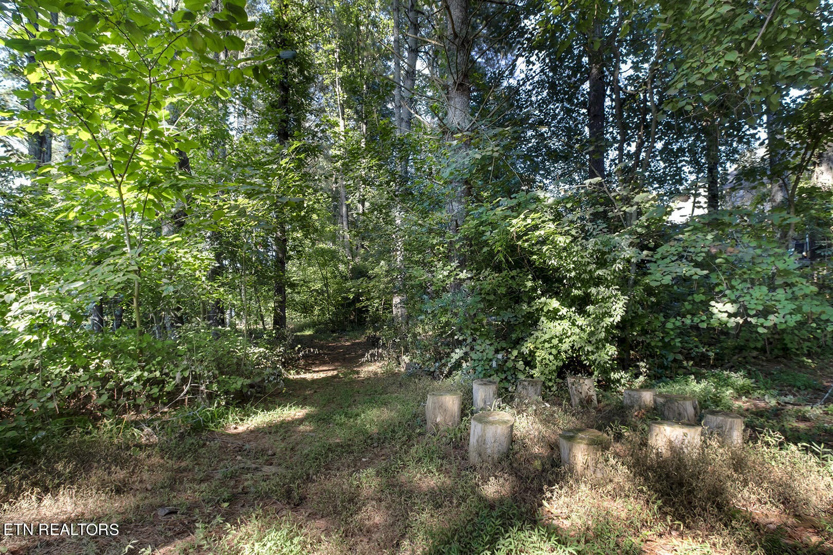 172 Inagehi Way Loudon, TN 37774 - Photo 48 of 56