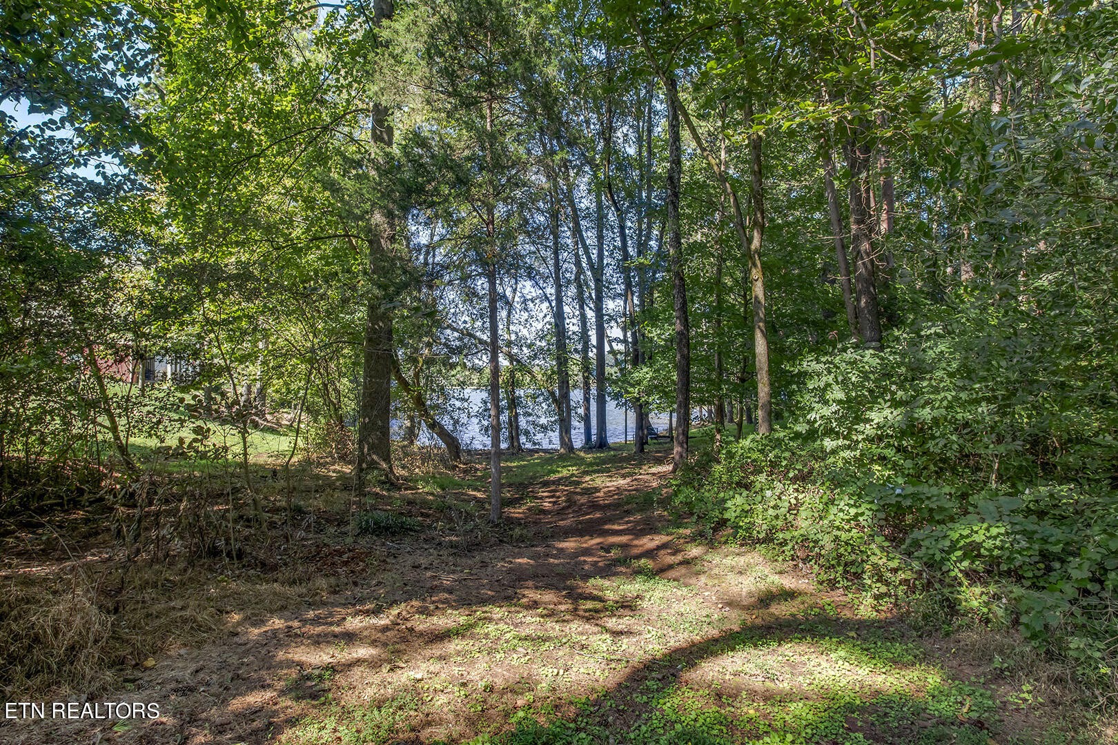 172 Inagehi Way Loudon, TN 37774 - Photo 49 of 56