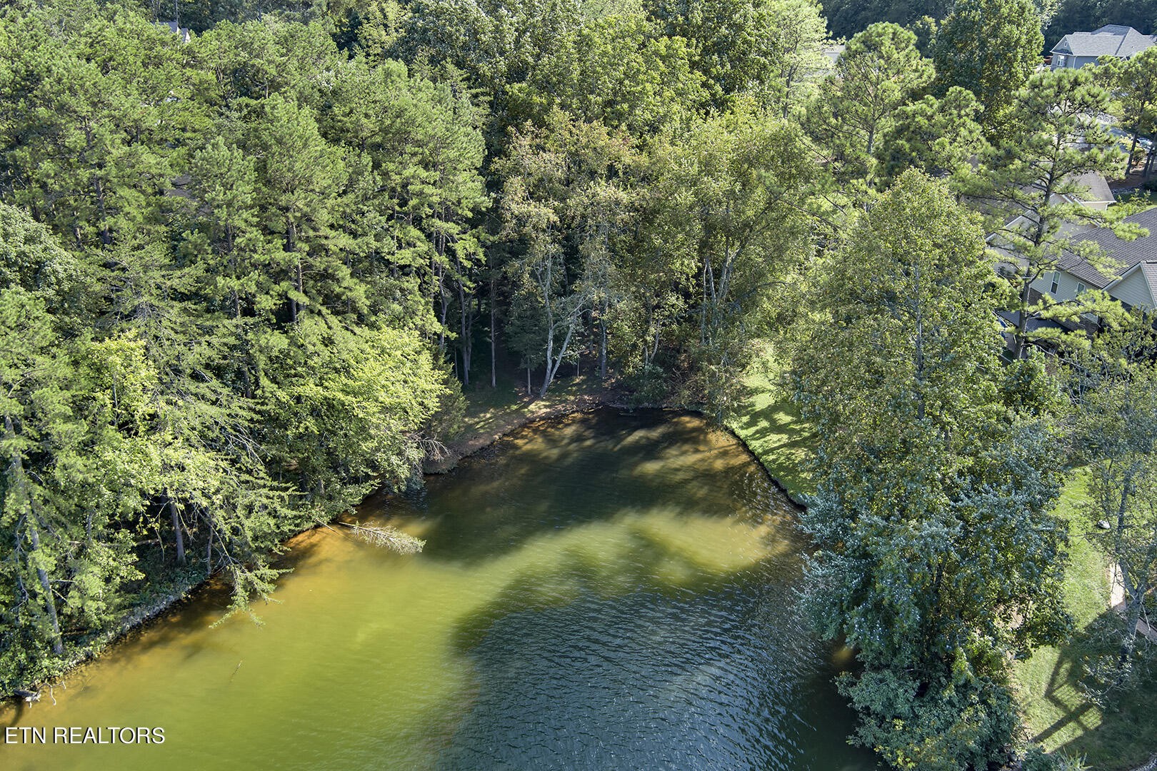 172 Inagehi Way Loudon, TN 37774 - Photo 51 of 56