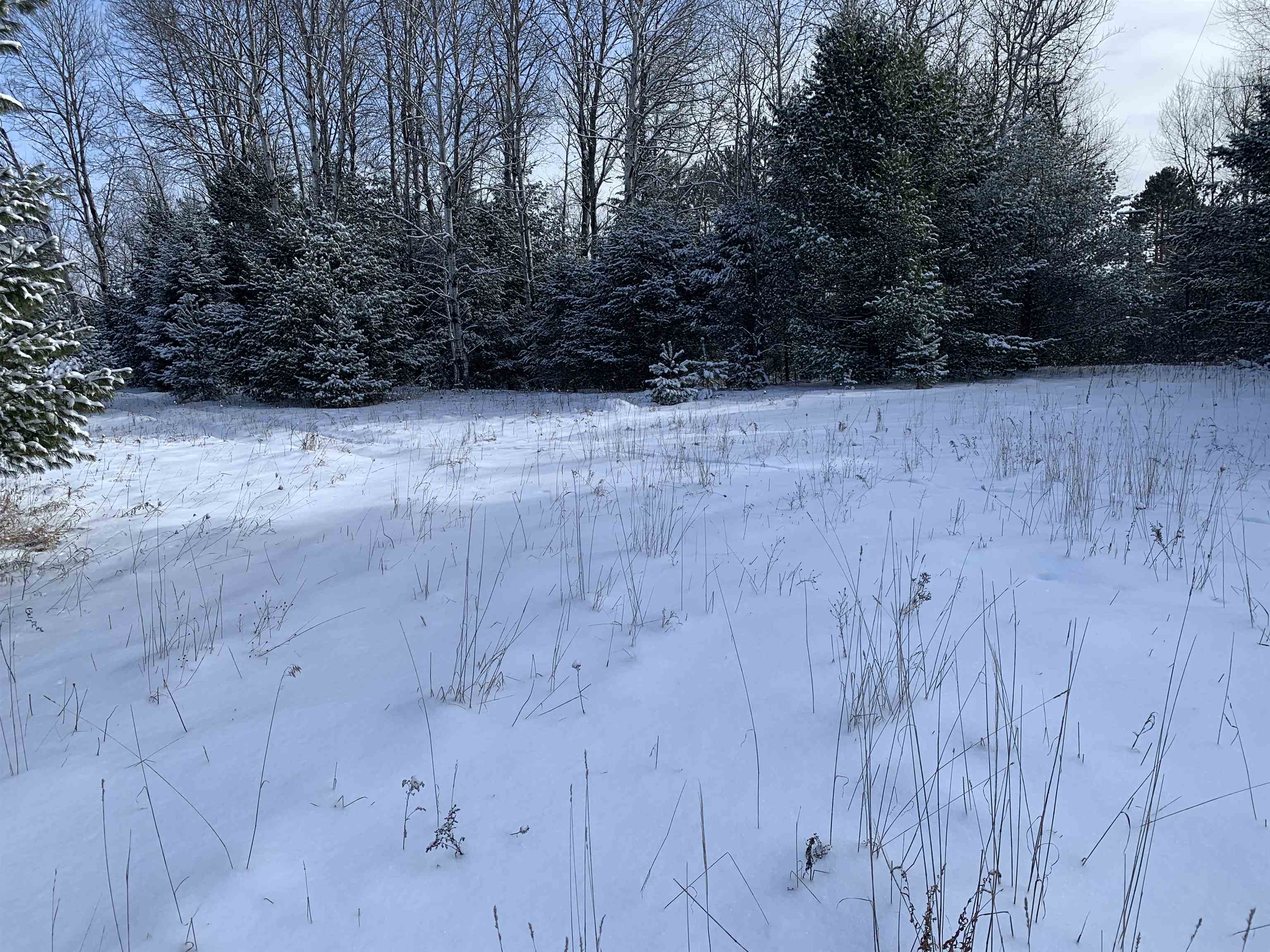 0 37 37 1/2 Road Cadillac, MI 49601 - Photo 1 of 16