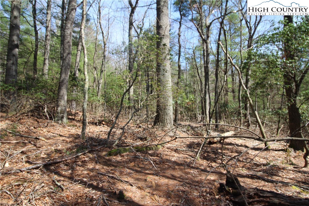 1168 Cox Road Jefferson, NC 28640 - Photo 11 of 16 Gallery Image 11