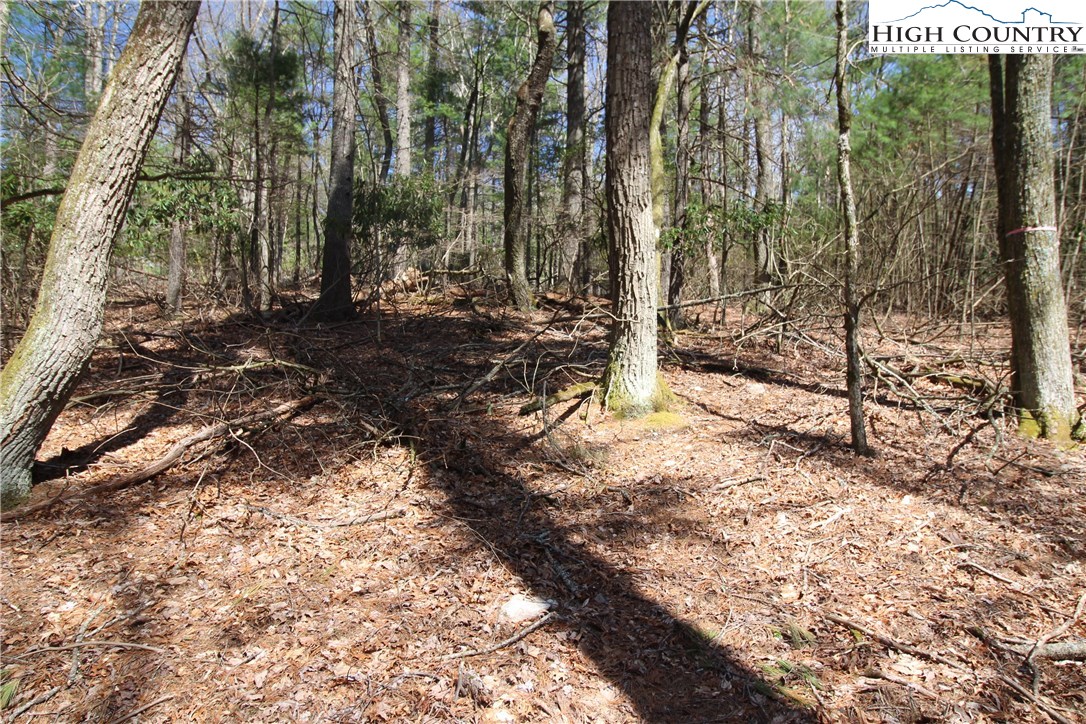 1168 Cox Road Jefferson, NC 28640 - Photo 13 of 16 Gallery Image 13