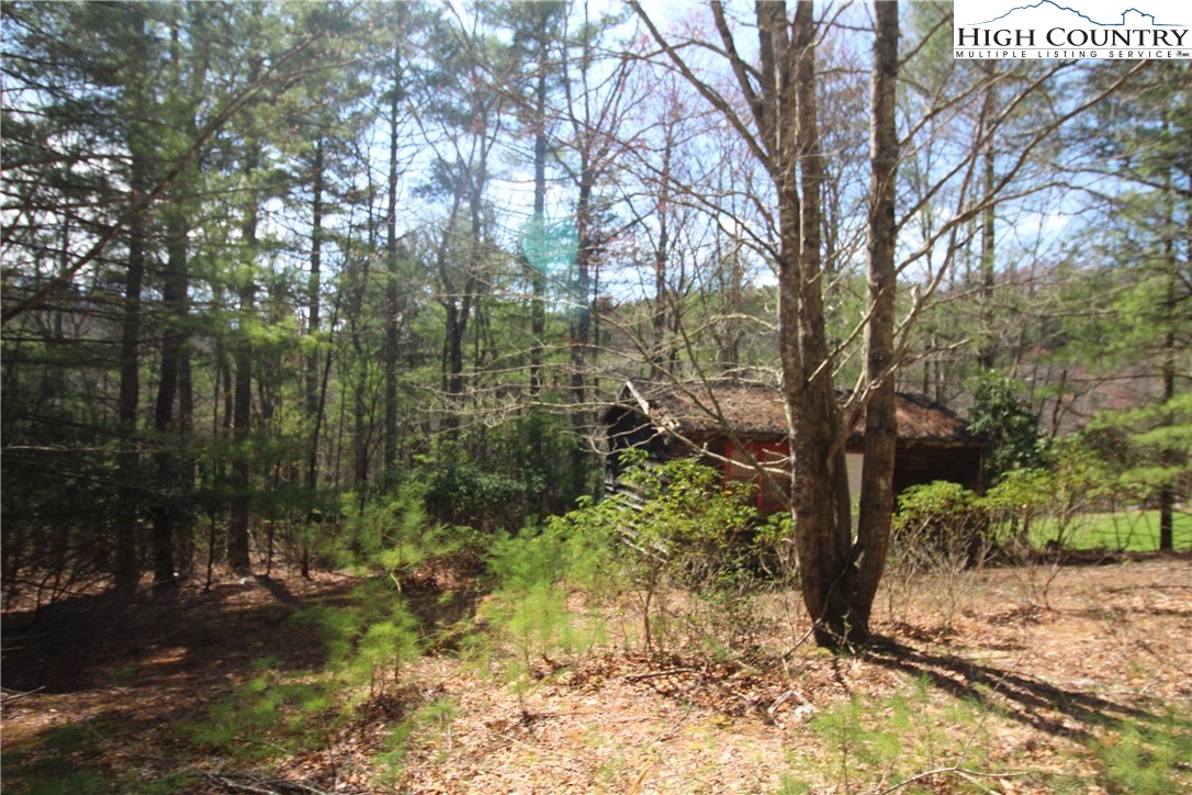 1168 Cox Road Jefferson, NC 28640 - Photo 5 of 16 Gallery Image 5