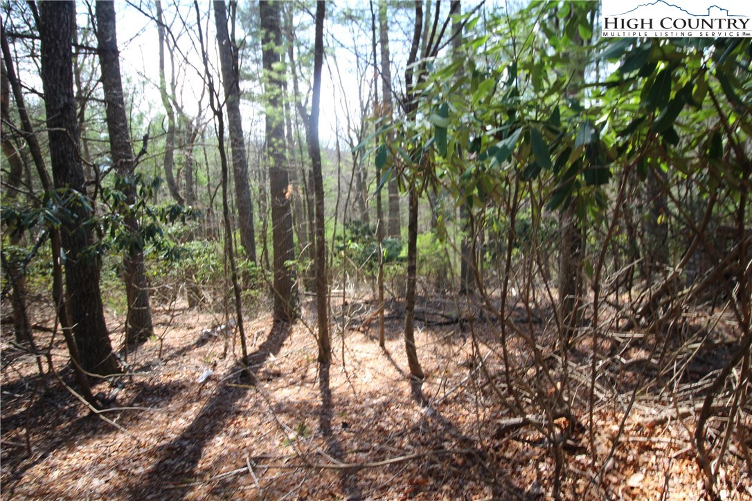 1168 Cox Road Jefferson, NC 28640 - Photo 9 of 16 Gallery Image 9