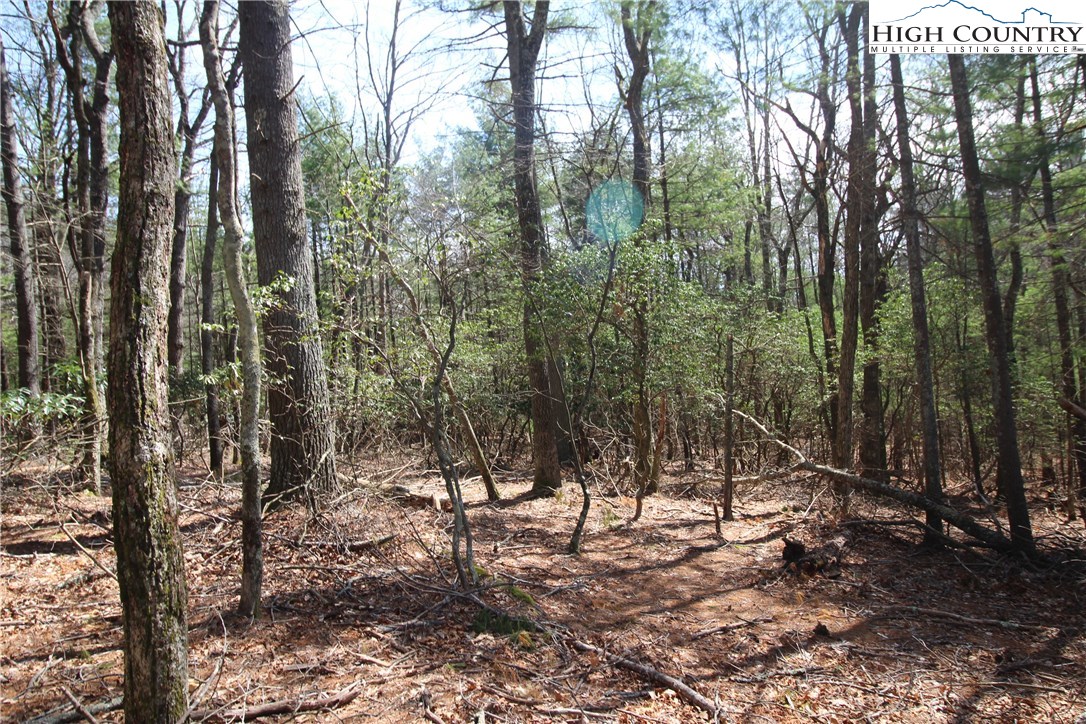 1168 Cox Road Jefferson, NC 28640 - Photo 10 of 16 Gallery Image 10
