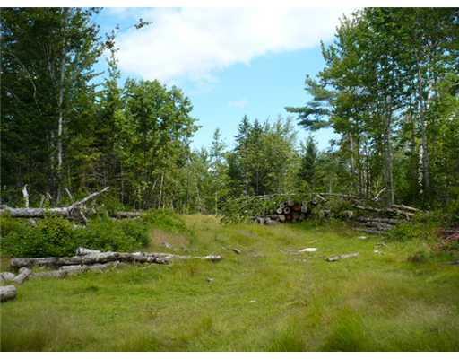 Off Brooks Road Knox, ME 04986 - Photo 1 of 8 Land.