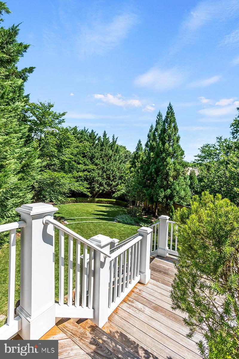3705 Taylor Street Chevy Chase, MD 20815 - Photo 50 of 72 Professionally landscaped backyard