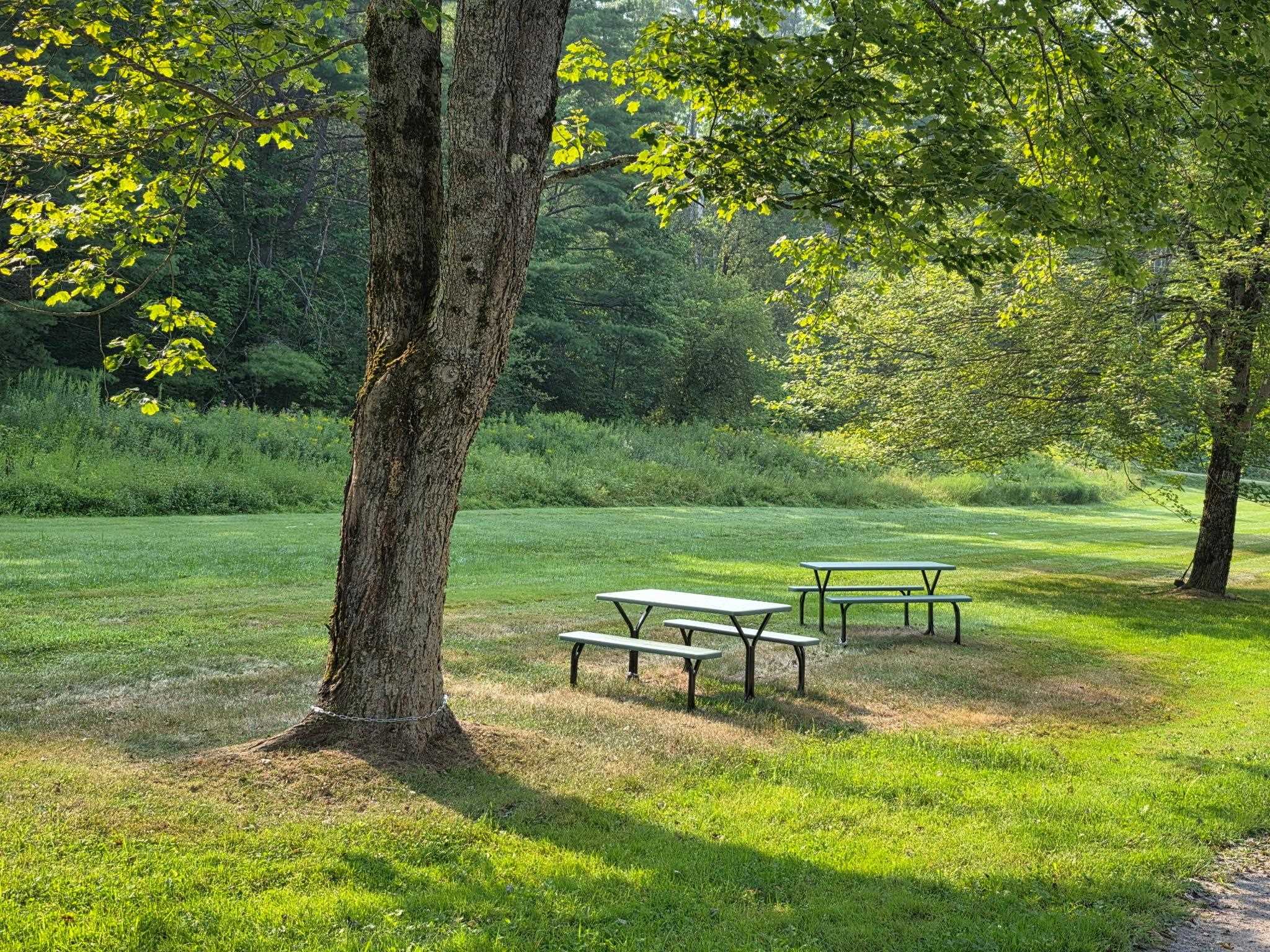 75 The Commons, Unit 10 Moretown, VT 05660 - Photo 7 of 14