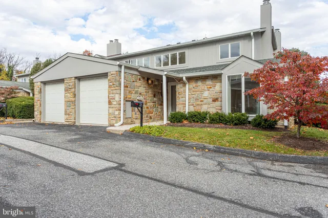 a view of a yard with plants and trees