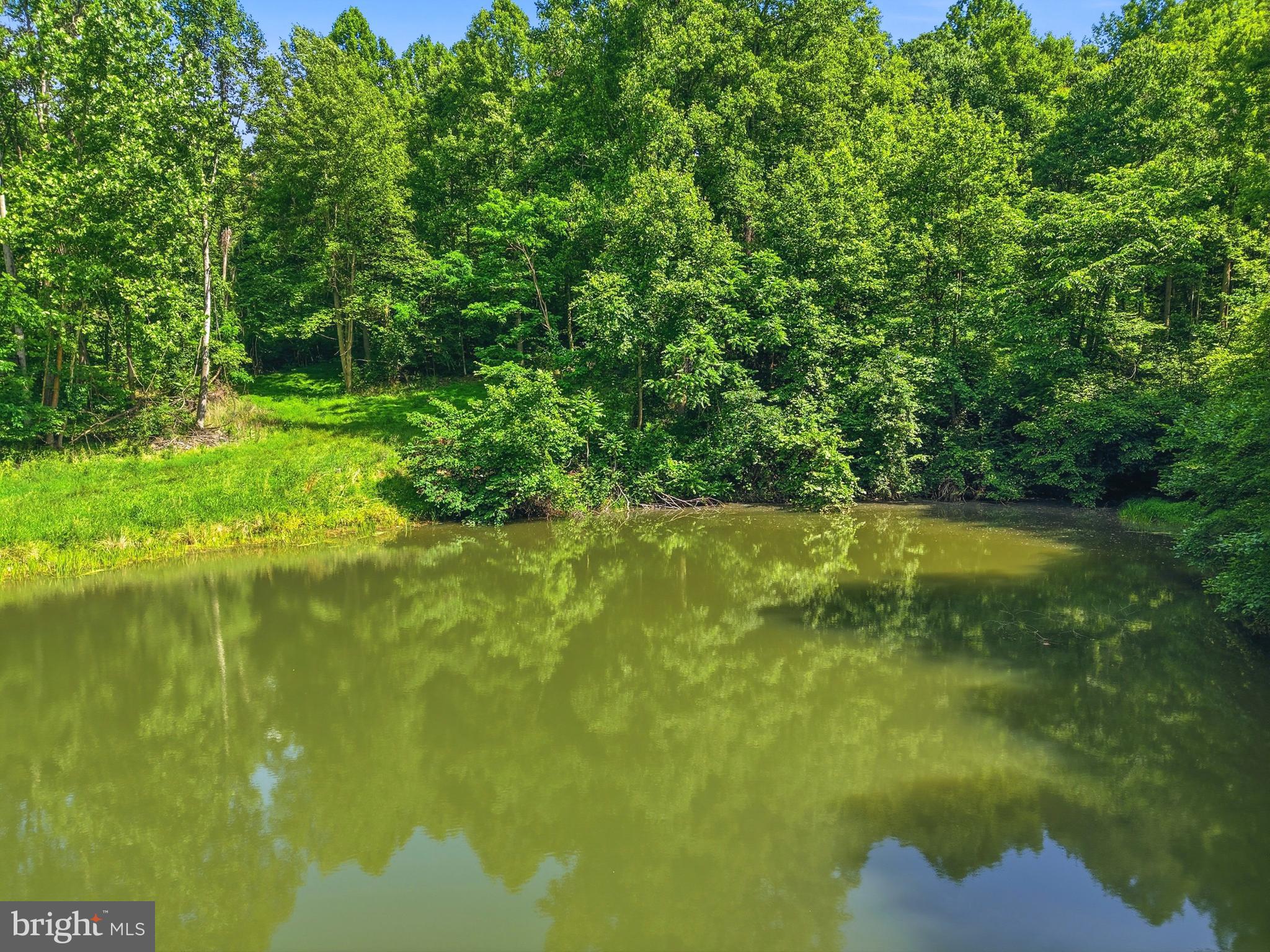 Jordan Hollow Road Stanley, VA 22851 - Photo 4 of 26
