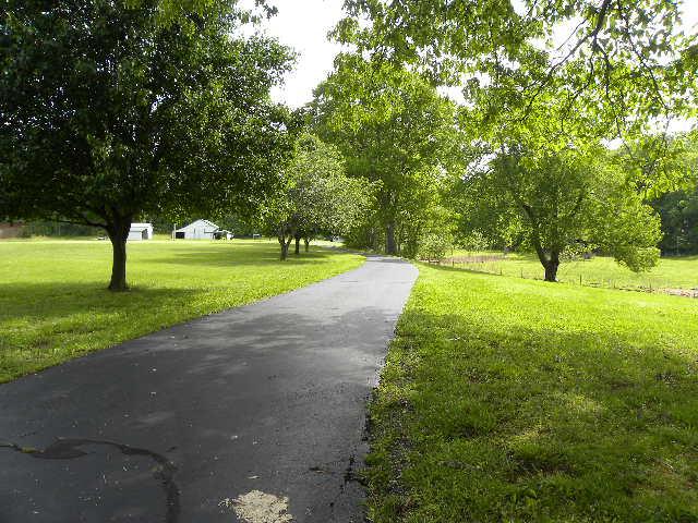 559 Longbranch Road Hohenwald, TN 38462 - Photo 2 of 12 Gallery Image 2