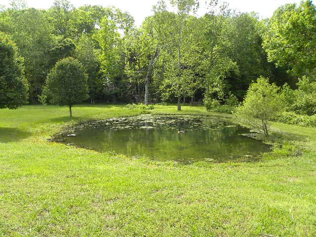 559 Longbranch Road Hohenwald, TN 38462 - Photo 5 of 12 Gallery Image 5