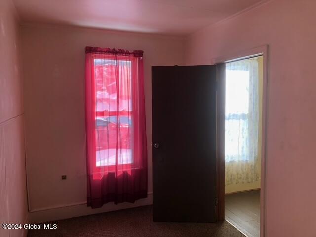 117 East Clinton Street Johnstown, NY 12095 - Photo 14 of 50 image12