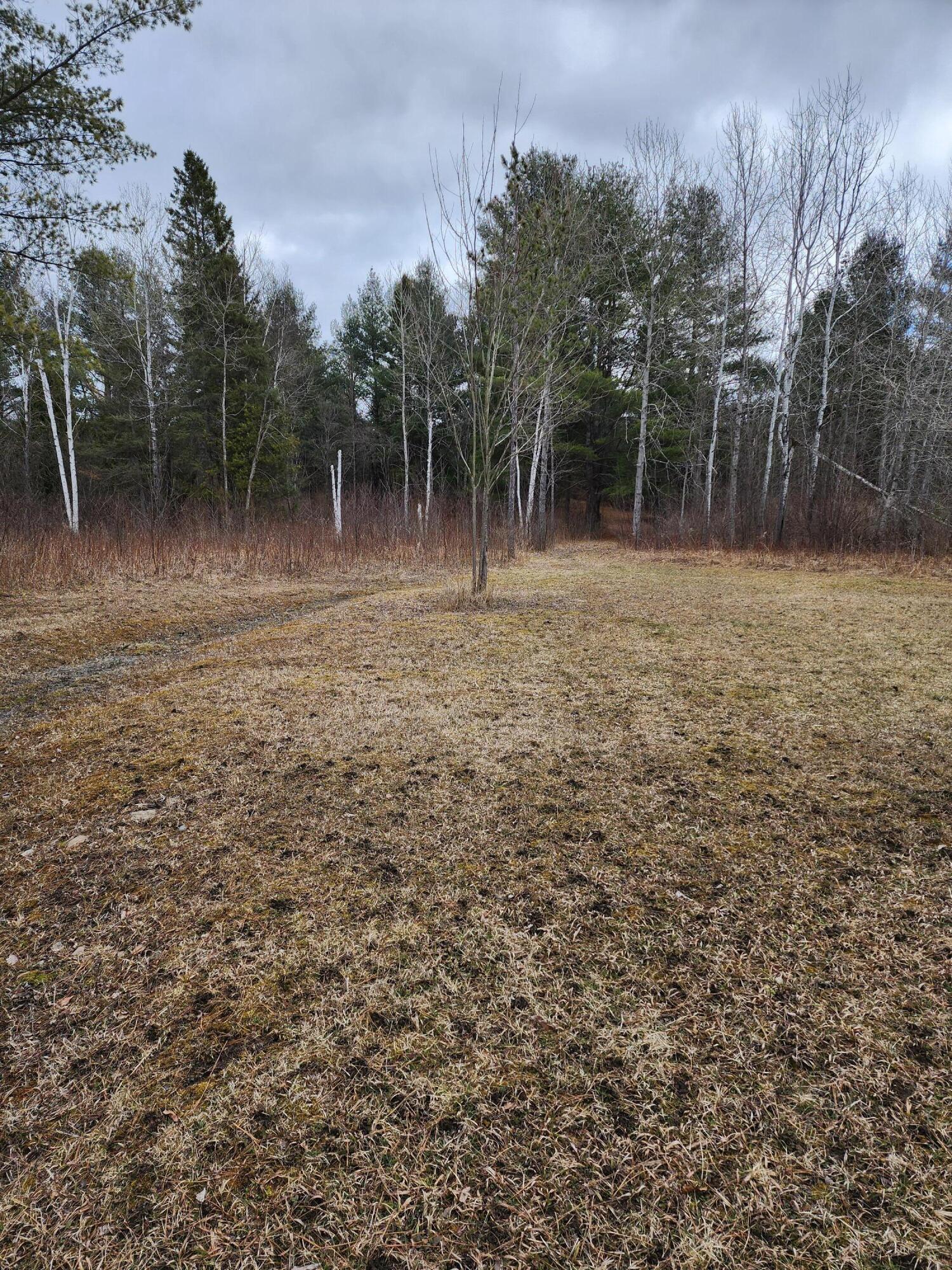 10435 Mason Road Onaway, MI 49765 - Photo 19 of 38 Gallery Image 19