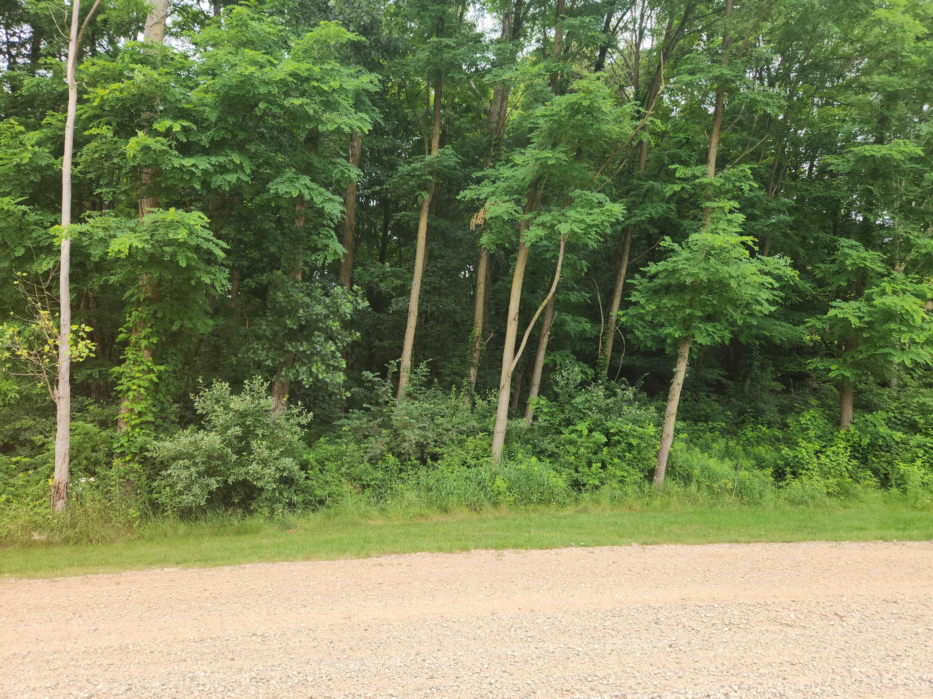 Vl North Rdg Court Middleville, MI 49333 - Photo 5 of 6 20240628_144956