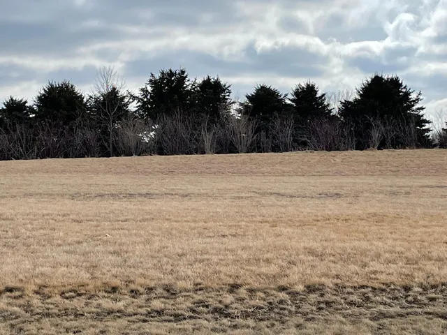 $19,238 | 531 Hillcrest Street, Edgerton, MN 56128