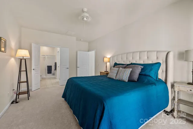 a bedroom with a bed and a walk in closet